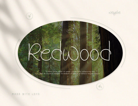 Weysle Handwritten Script Font Font inferno.studio3 