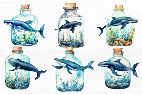 Whale in Bottle Watercolor Sublimation Sublimation Regulrcrative 