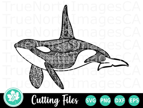 Whale SVG | Mandala SVG | Zentangle SVG SVG TrueNorthImagesCA 