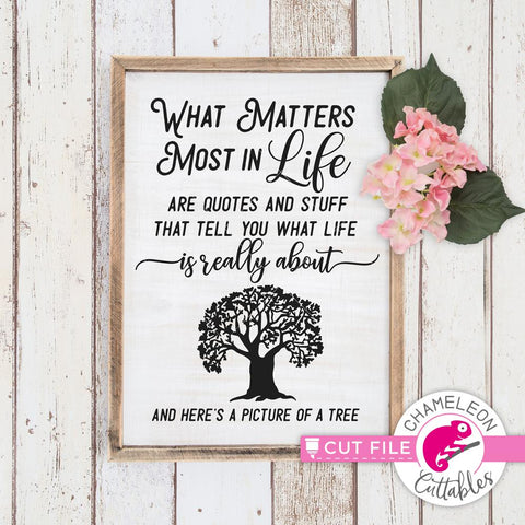 What matters most in Life are quotes and stuff - funny SVG SVG Chameleon Cuttables 