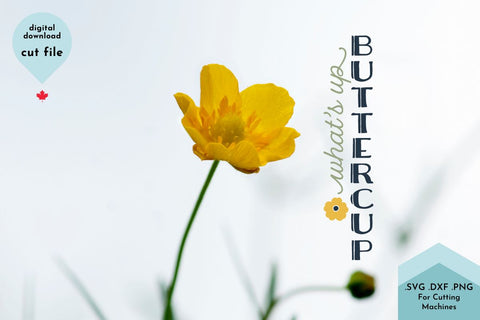 What's Up Buttercup Vertical Porch Sign SVG Cut File SVG Lettershapes 