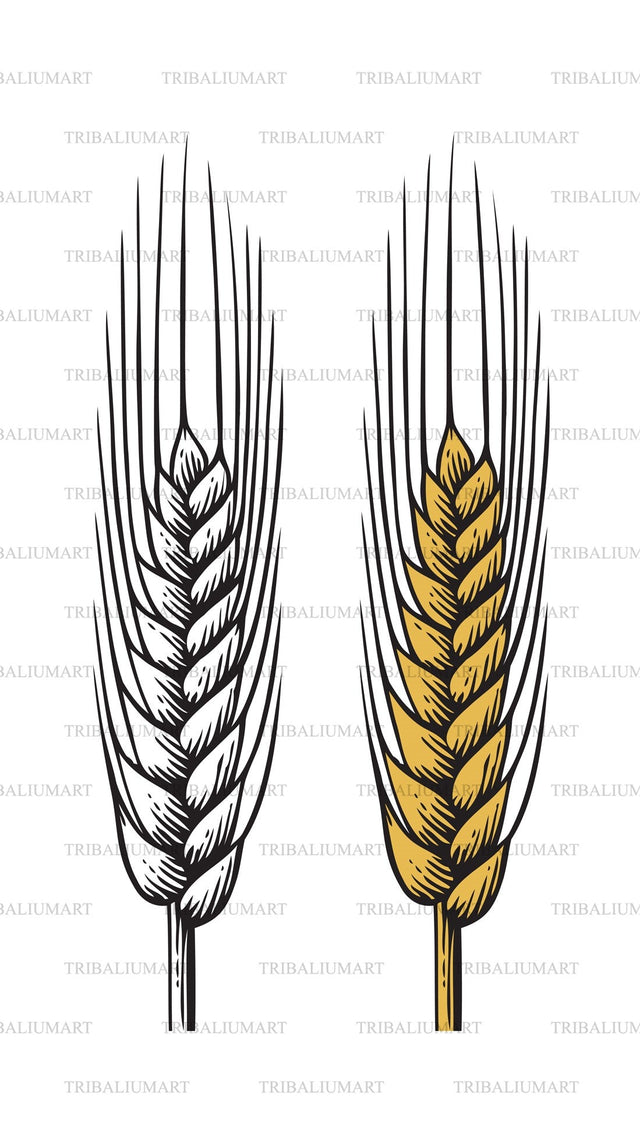 Wheat ear SVG TribaliumArtSF 