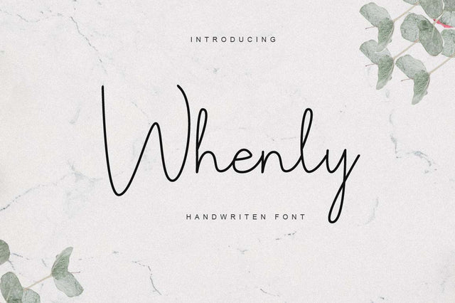 Whenly script font Font Chamsae Studio 