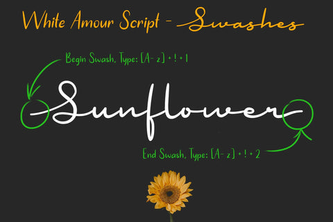 White Amour | Lovely Handwritten Font Duo Font Katario Studio 