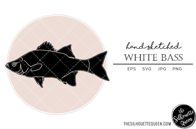 White Bass Hand sketched, hand drawn vector clipart SVG Loveleen Kaur 