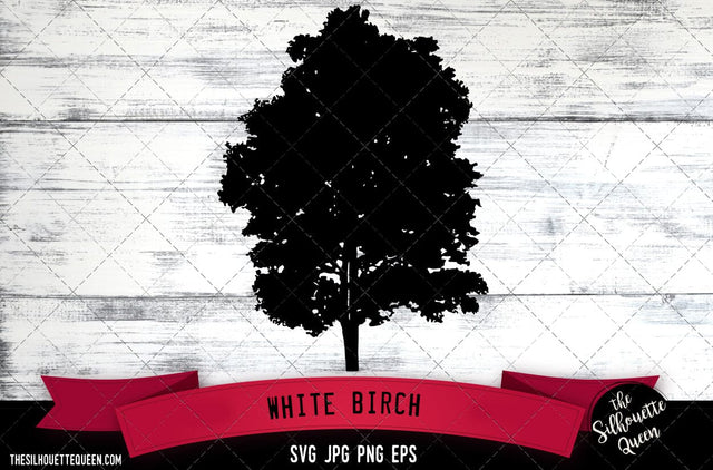 White Birch SVG -Vector Art Commercial & Personal Use- Cricut,Silhouette,Cameo,Vinyl Cut SVG Loveleen Kaur 
