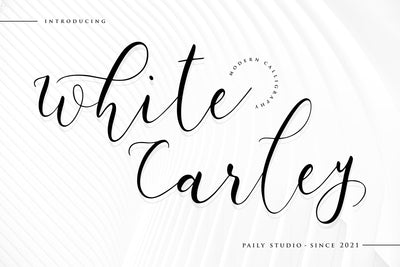 White Carley Modern Calligraphy Font Font Paily Studio 