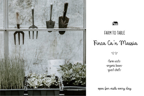 White Clementine Font Sunday Nomad 