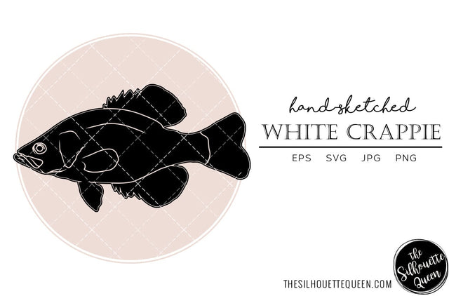 White Crappie Hand sketched, hand drawn vector clipart SVG Loveleen Kaur 