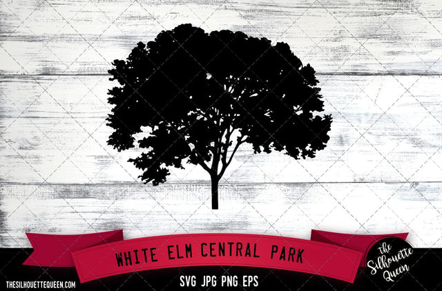White Elm(Central Park) SVG -Vector Art Commercial & Personal Use- Cricut,Silhouette,Cameo,Vinyl Cut SVG Loveleen Kaur 