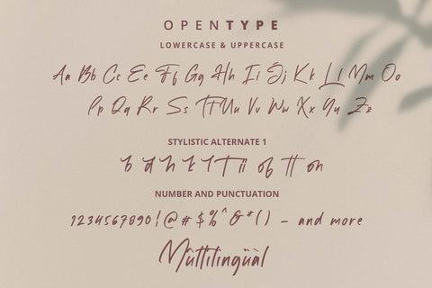 White Mellow - Handwritten Script Font Font StringLabs 