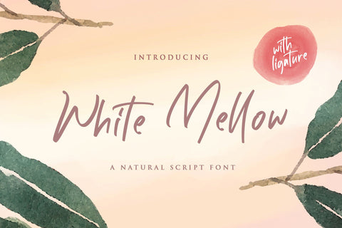 White Mellow - Handwritten Script Font Font StringLabs 