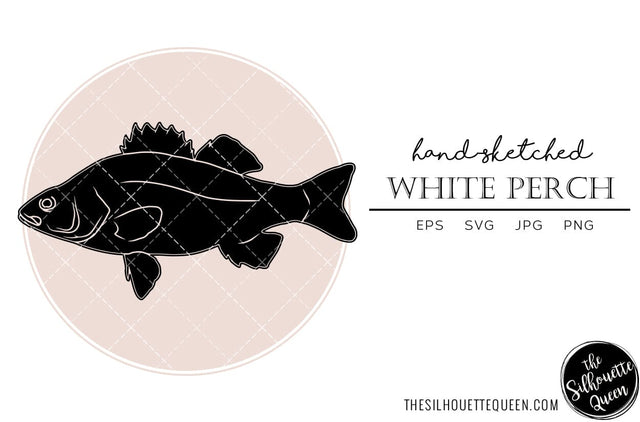 White Perch Hand sketched, hand drawn vector clipart SVG Loveleen Kaur 
