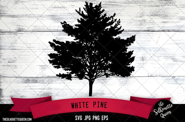 White Pine SVG -Vector Art Commercial & Personal Use- Cricut,Silhouette,Cameo,Vinyl Cut SVG Loveleen Kaur 