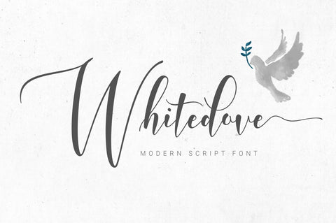 Whitedove Modern Script Font Fadeline Std. 