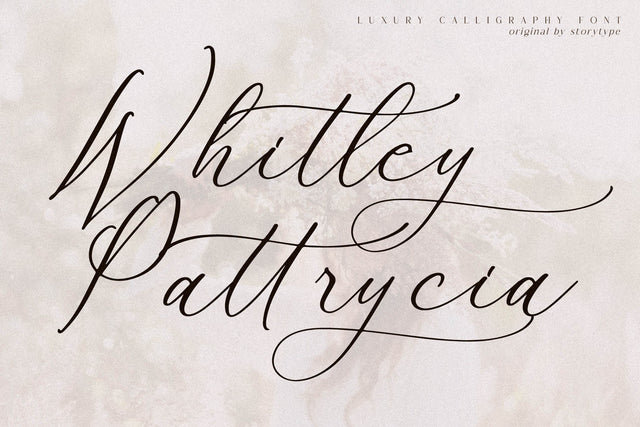Whitley Pattrycia - Luxury Calligraphy Font Font Storytype Studio 
