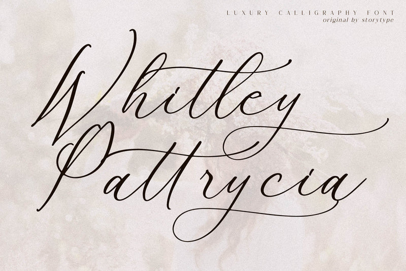 Whitley Pattrycia - Luxury Calligraphy Font Font Storytype Studio 