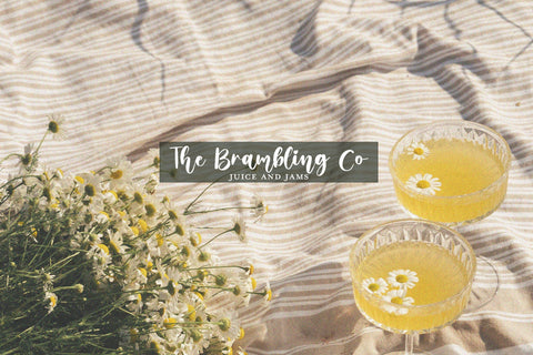 Whitley Script Font (Heart Fonts, Swirly Fonts, Craft Fonts, Cute Fonts) Font Jupiter Studio Fonts 