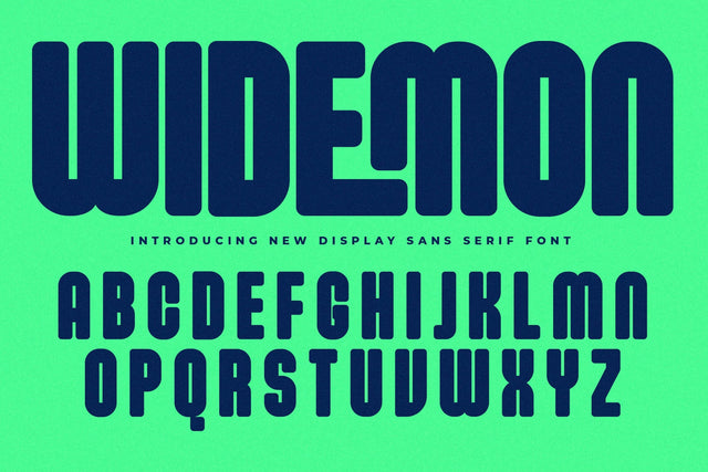 Widemon Typeface Font Storytype Studio 