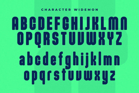 Widemon Typeface Font Storytype Studio 