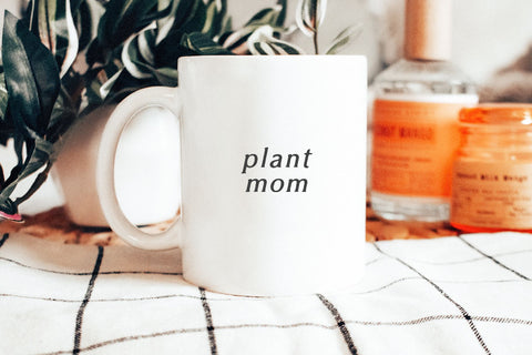 Wild Honey - Rustic Serif Font Font KA Designs 