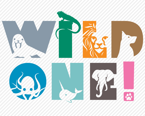 Wild One! | Outdoor SVG SVG Texas Southern Cuts 