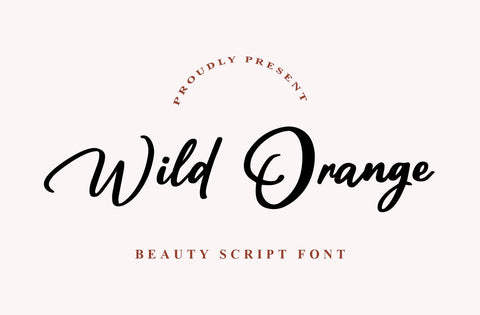 Wild Orange | Modern Script Font Font Yuby 