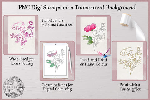 Wild Rose - Single line Sketch | Digi Stamp | Illustration Sketch DESIGN DrawnTogether with love 