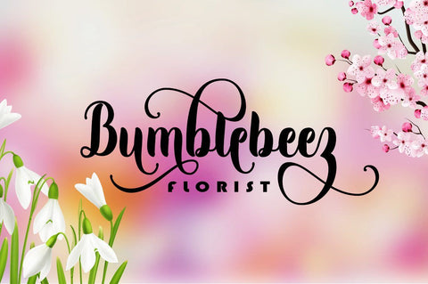 Wildaloney Font Akrt Std 