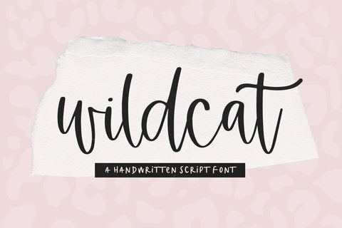 Wildcat - Modern Script Font Font KA Designs 