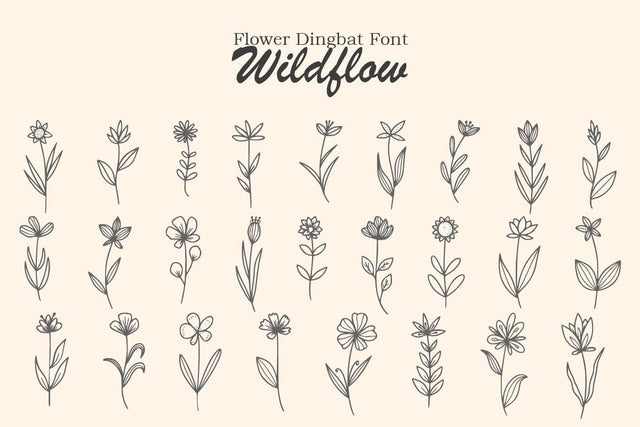 Wildflow - a Floral DIngbat Font Masyafi Studio 