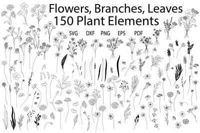 Wildflower And Leaves Svg Bundle, Botanical Clipart, Flowers SVG Yuliya 