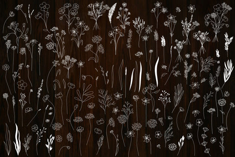 Wildflower And Leaves Svg Bundle, Botanical Clipart, Flowers SVG Yuliya 