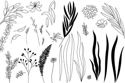 Wildflower And Leaves Svg Bundle, Botanical Clipart, Flowers SVG Yuliya 