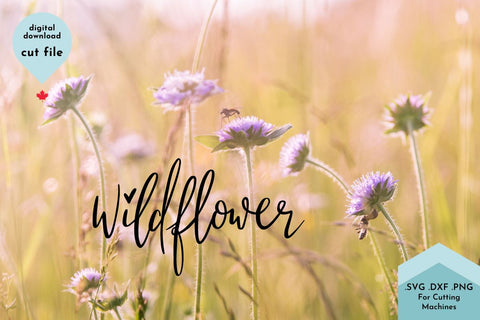 Wildflower SVG Cut File - Hand Lettered SVG Lettershapes 