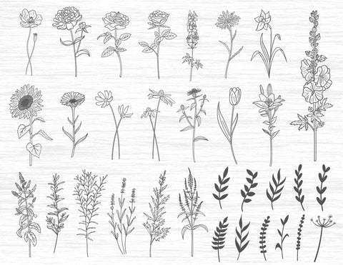Wildflowers SVG | Field flowers SVG Bundle SVG MagicArtLab 