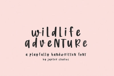 Wildlife Adventure Font (Craft Fonts, Hand drawn Fonts, Instagram Fonts, Rough Fonts) Font Jupiter Studio Fonts 