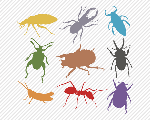 Wildlife Animal Bundle | Outdoor SVG SVG Texas Southern Cuts 