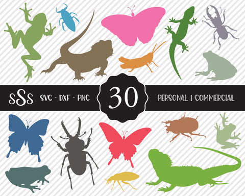 Wildlife Animal Bundle | Outdoor SVG SVG Texas Southern Cuts 