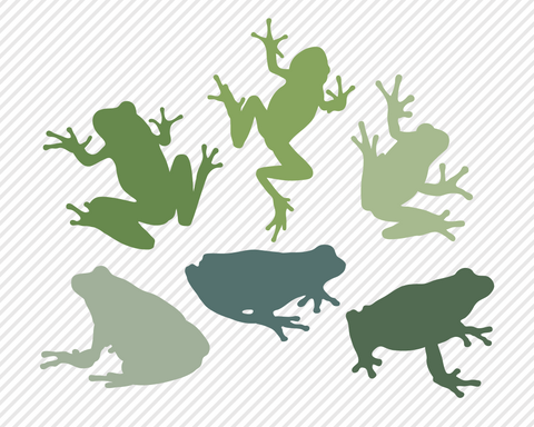 Wildlife Animal Bundle | Outdoor SVG SVG Texas Southern Cuts 