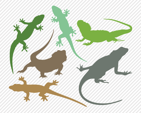 Wildlife Animal Bundle | Outdoor SVG SVG Texas Southern Cuts 