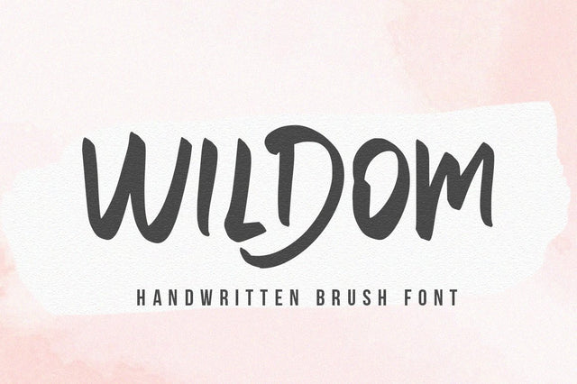 Wildom - Handwritten font Font Vultype Co 