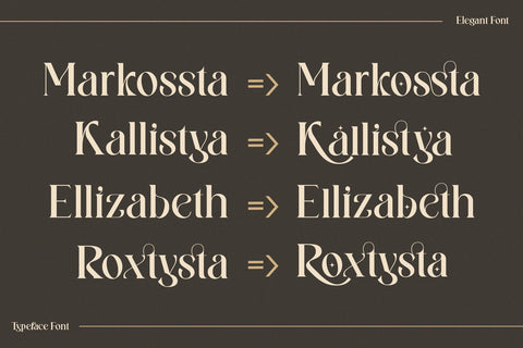 Wilkista - Ligature Typeface Font Graphicxell 
