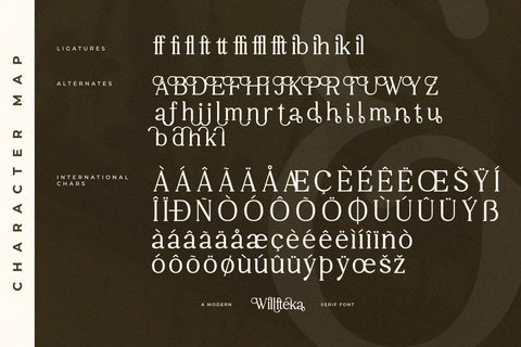Willfteka Typeface Font Storytype Studio 