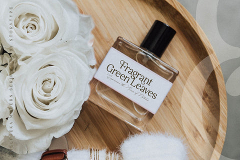 Willfteka Typeface Font Storytype Studio 