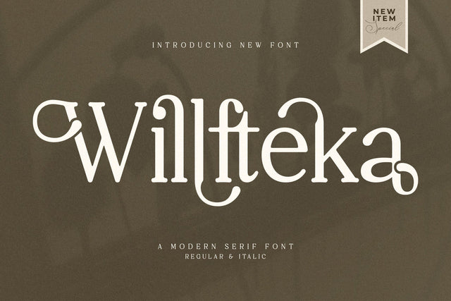 Willfteka Typeface Font Storytype Studio 
