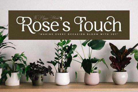 Willfteka Typeface Font Storytype Studio 