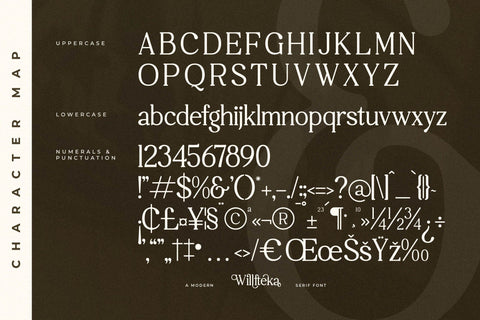 Willfteka Typeface Font Storytype Studio 