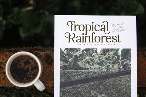 Willfteka Typeface Font Storytype Studio 