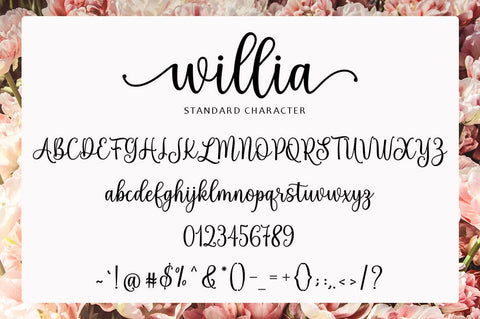 Willia Font Suza Studio 